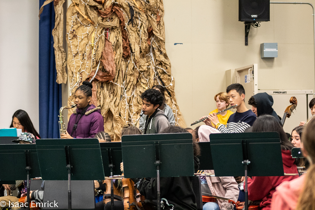 Black History BHMS - 18