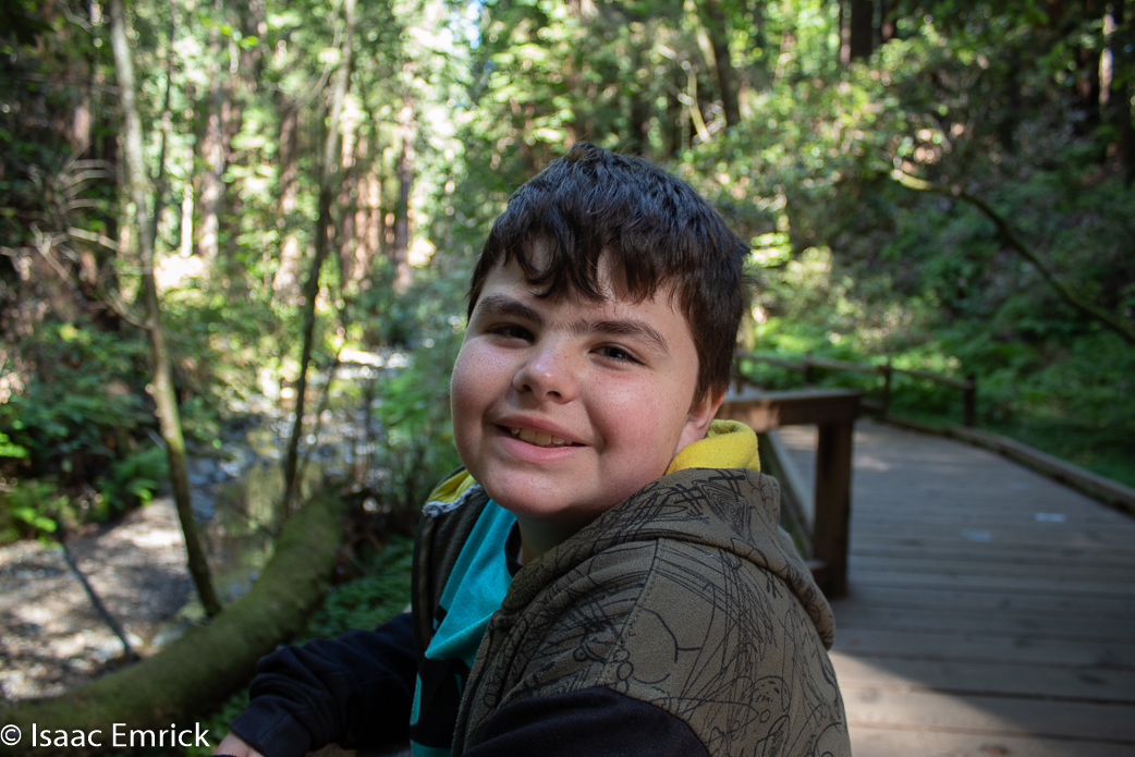 Muir Woods 6
