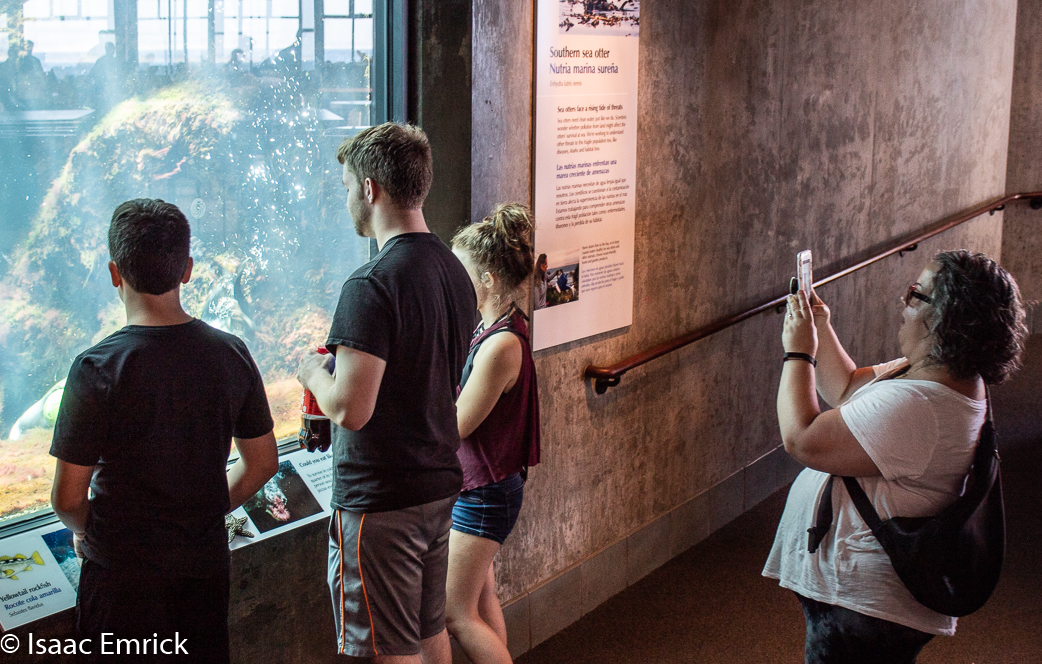 Monterey Aquarium 5