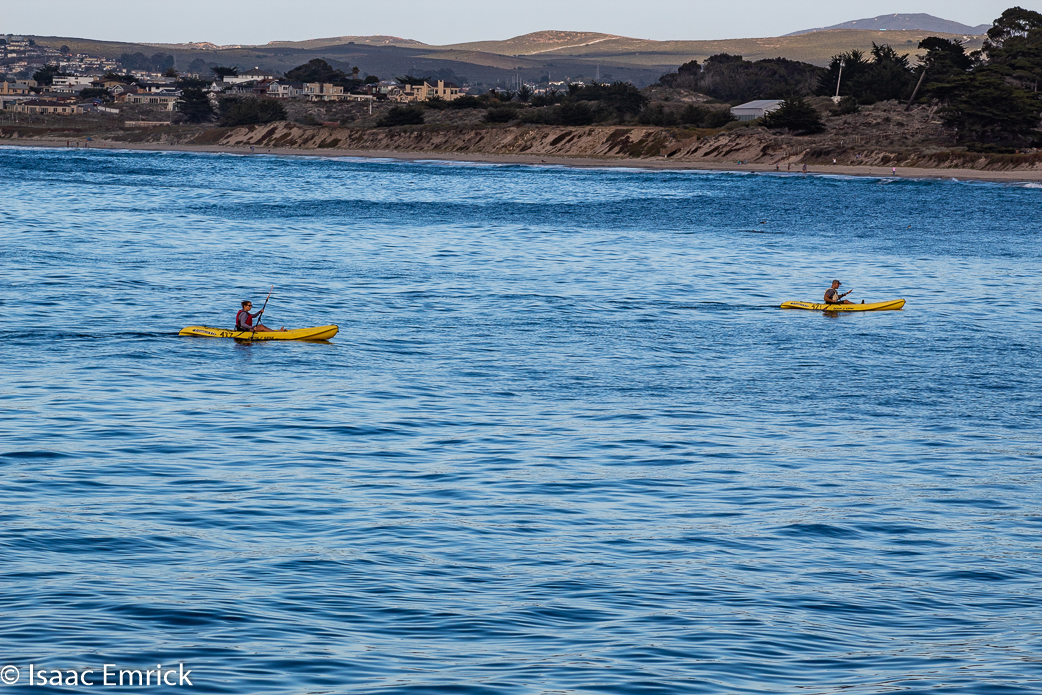 Monterey Aquarium 47