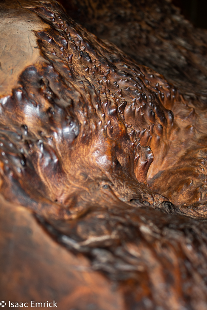 OMCA-Muertos-2018-03