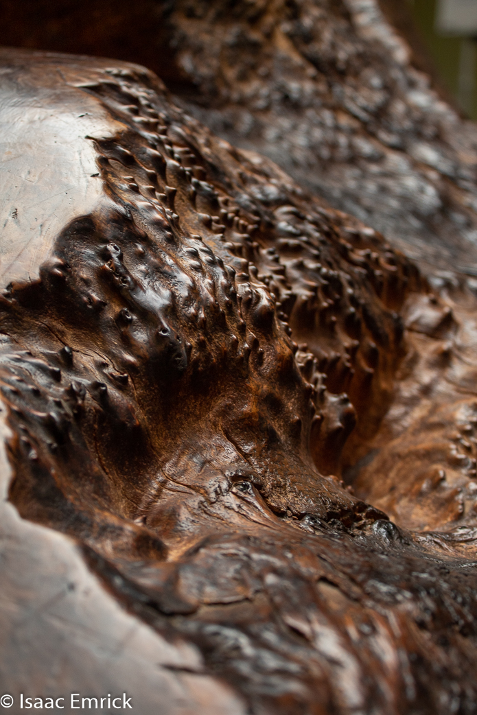 OMCA-Muertos-2018-04