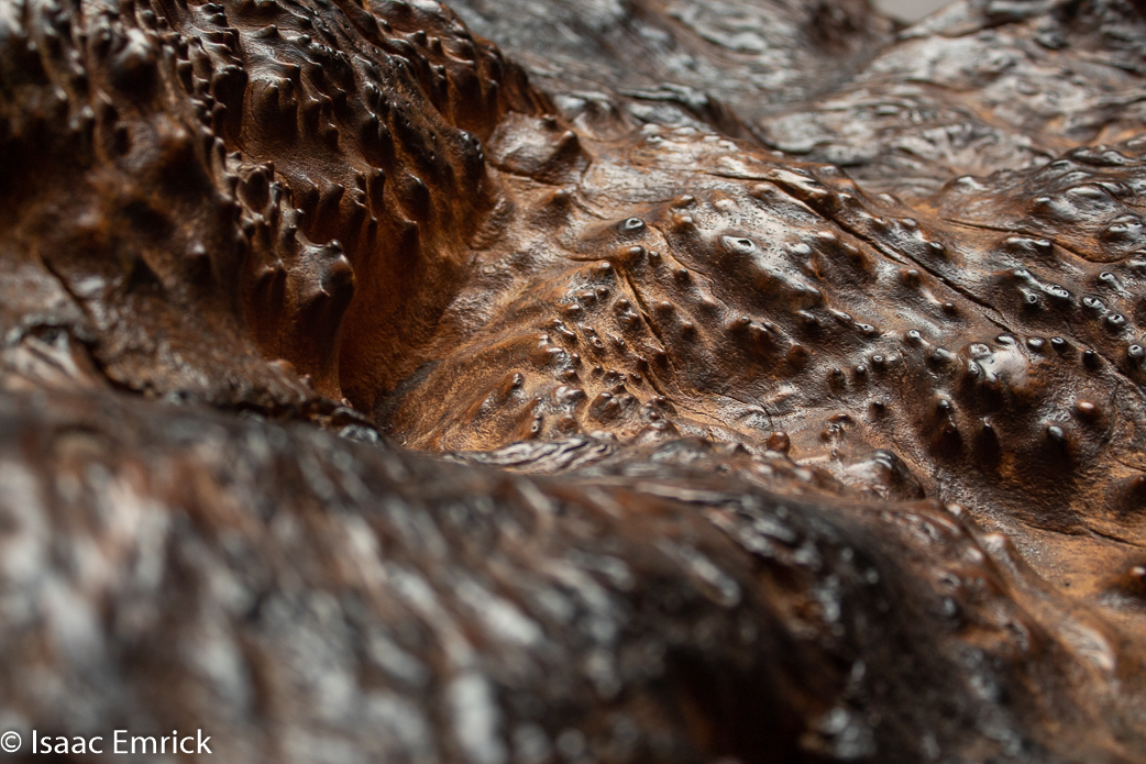 OMCA-Muertos-2018-05