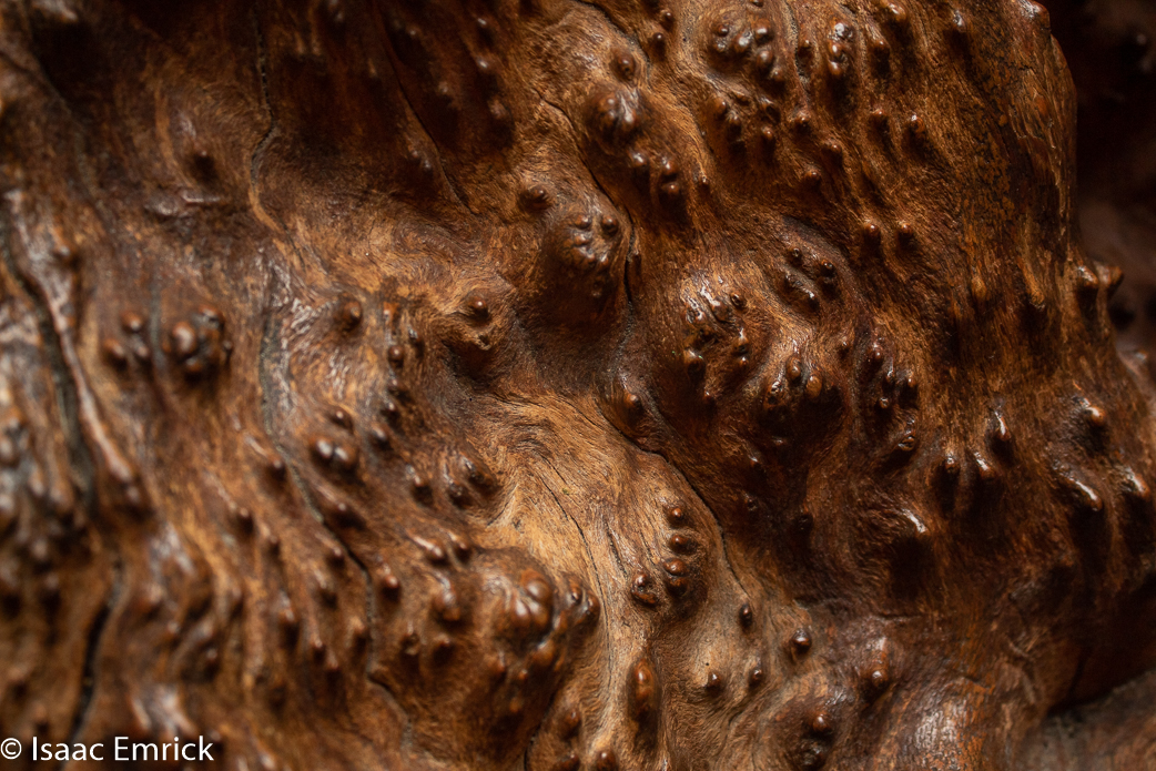 OMCA-Muertos-2018-06