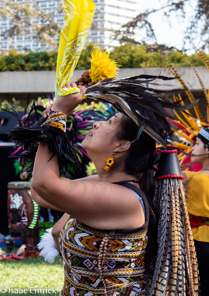 OMCA-Muertos-2018-11