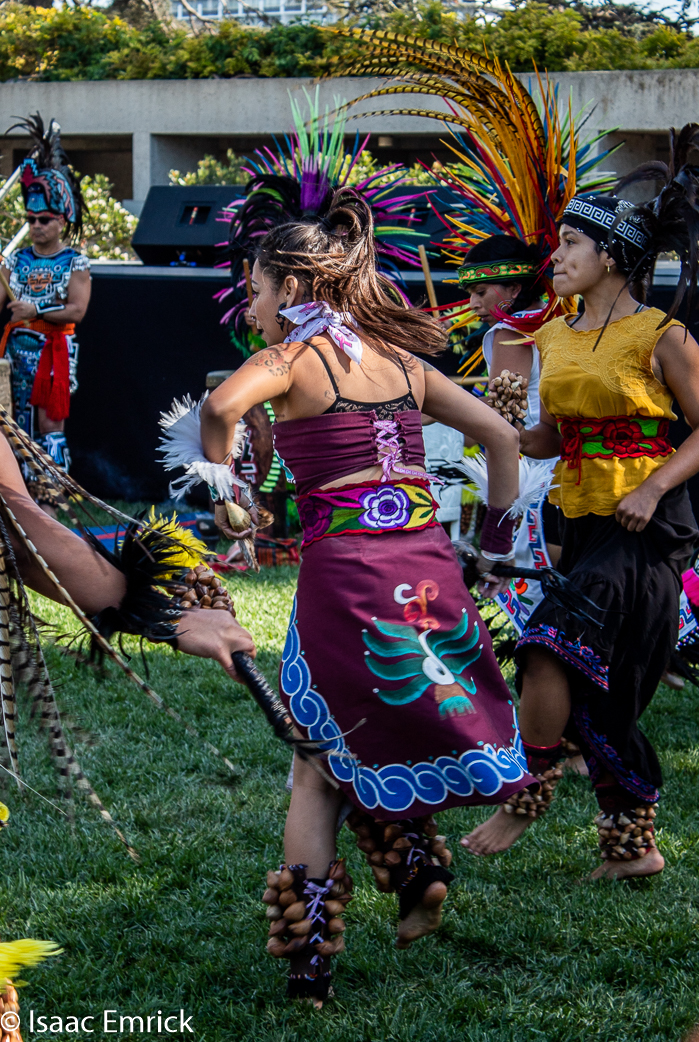 OMCA-Muertos-2018-13