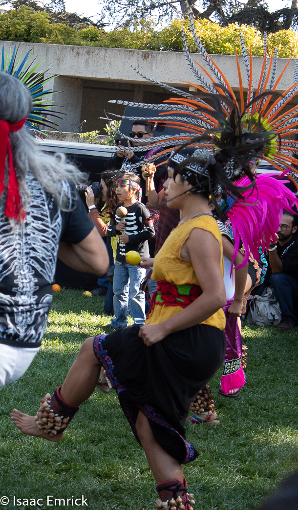 OMCA-Muertos-2018-18