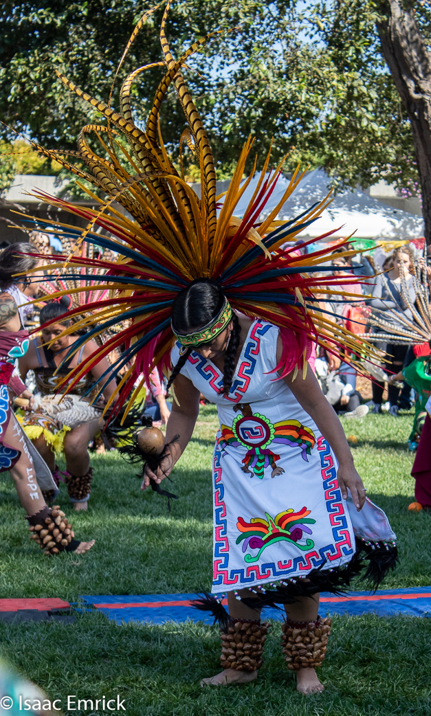 OMCA-Muertos-2018-22