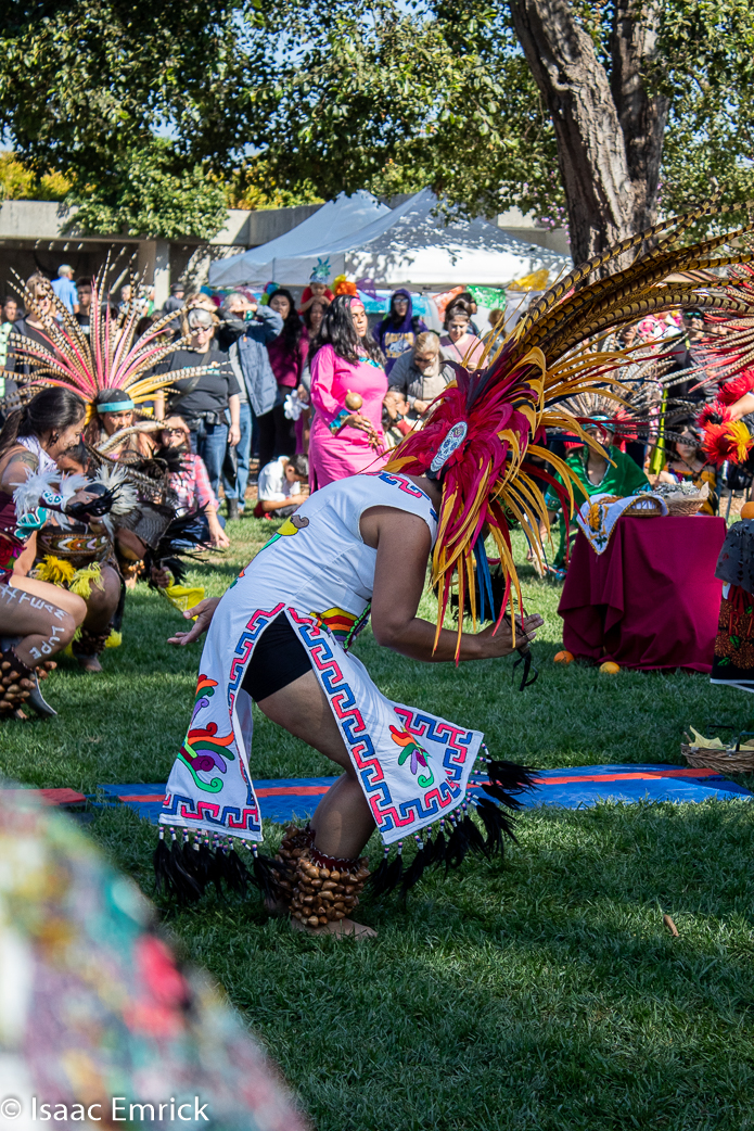 OMCA-Muertos-2018-23