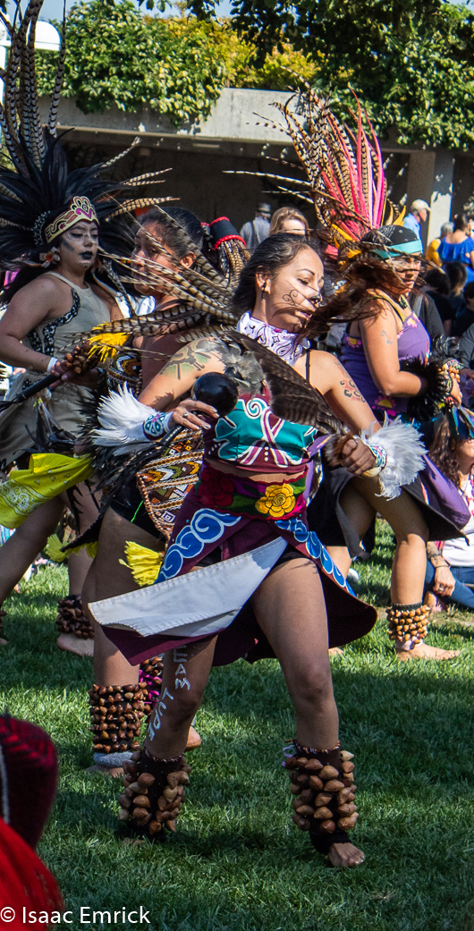 OMCA-Muertos-2018-25