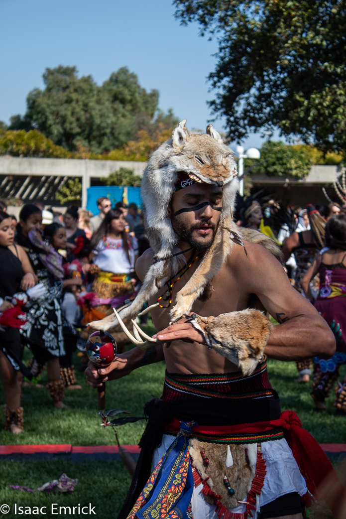 OMCA-Muertos-2018-27