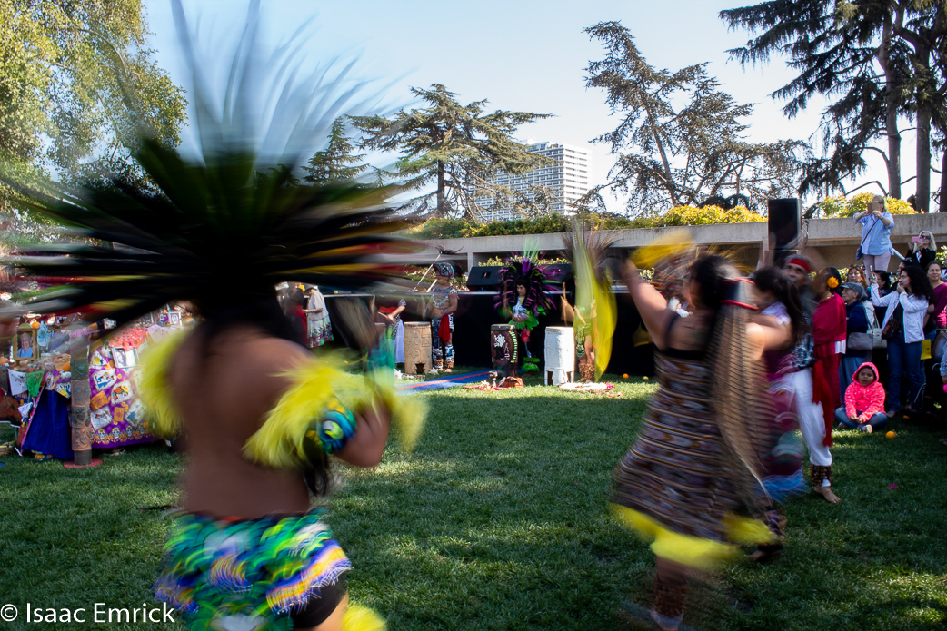 OMCA-Muertos-2018-47