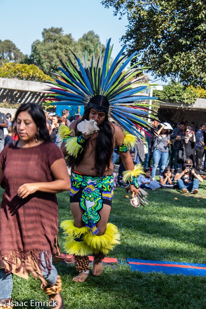 OMCA-Muertos-2018-55