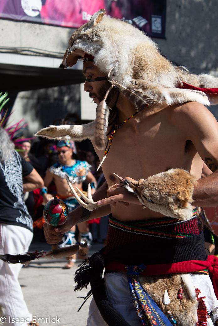 OMCA-Muertos-2018-60