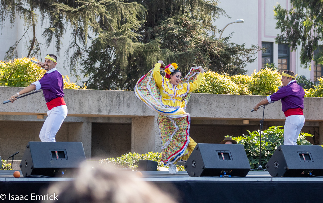 OMCA-Muertos-2018-63