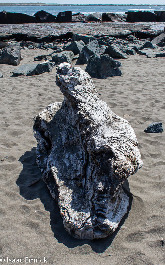 Samoa Driftwood 