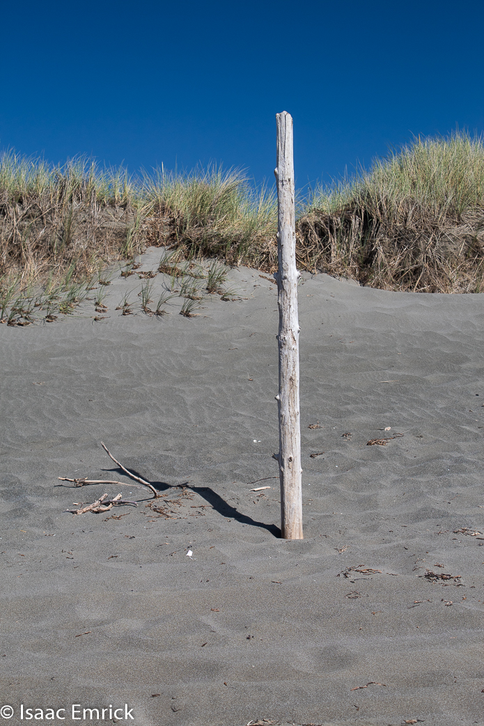 Beach Totem