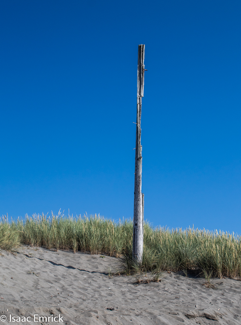 Not So Beach Totem 2