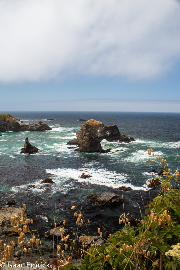 PcH Ten Mile Marine Reserve 6