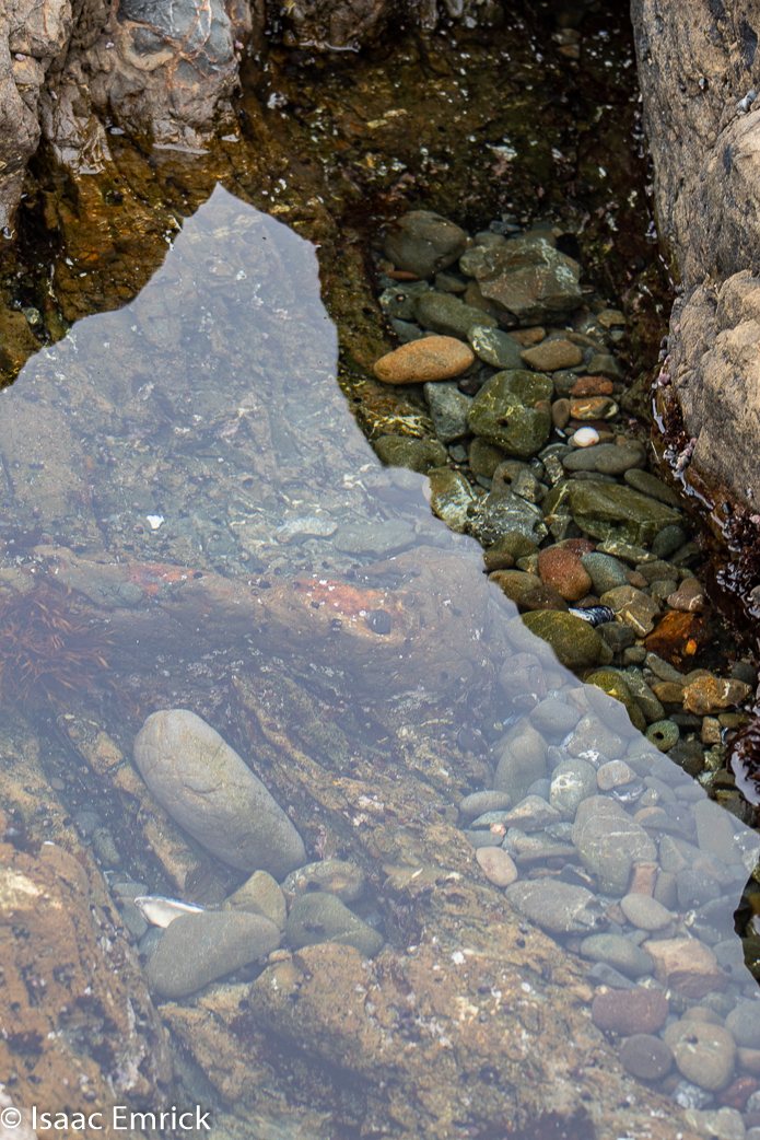 Rock pool