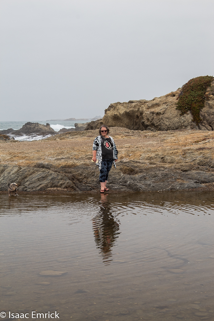 From across the pool