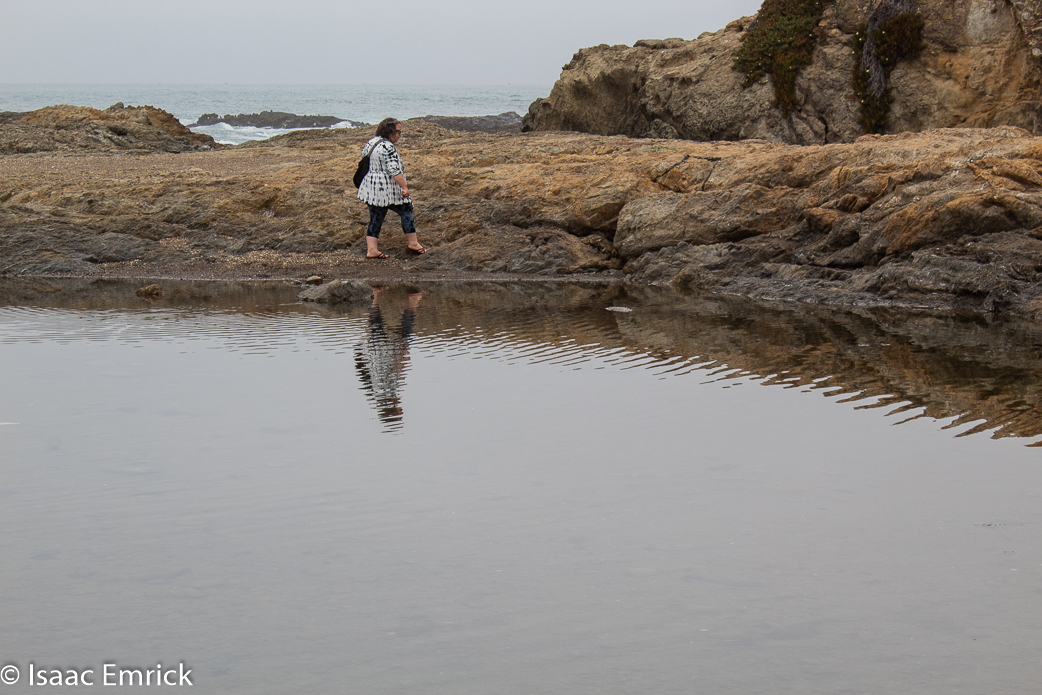 From across the pool 2