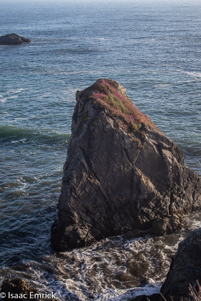 Rock Point Purples 2