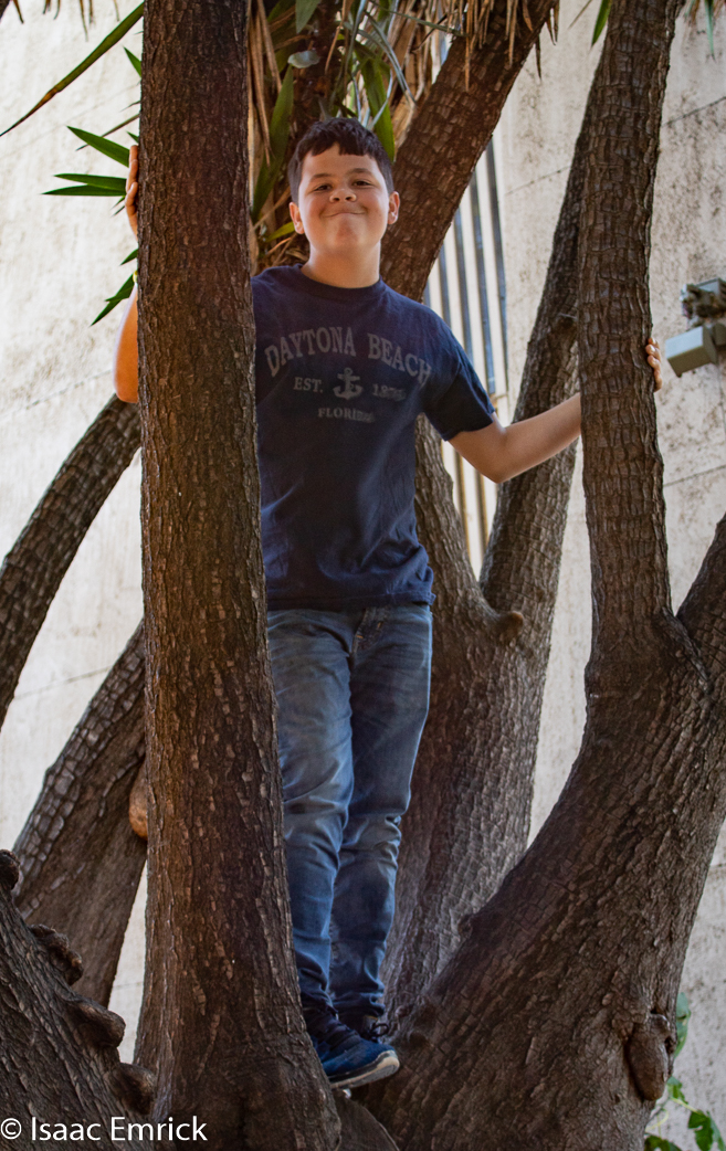 Rosacrician Museum 9